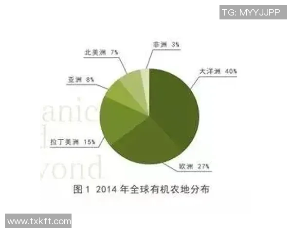 南京排球队实力分析与数据解读：揭示球队表现的关键因素与未来发展潜力